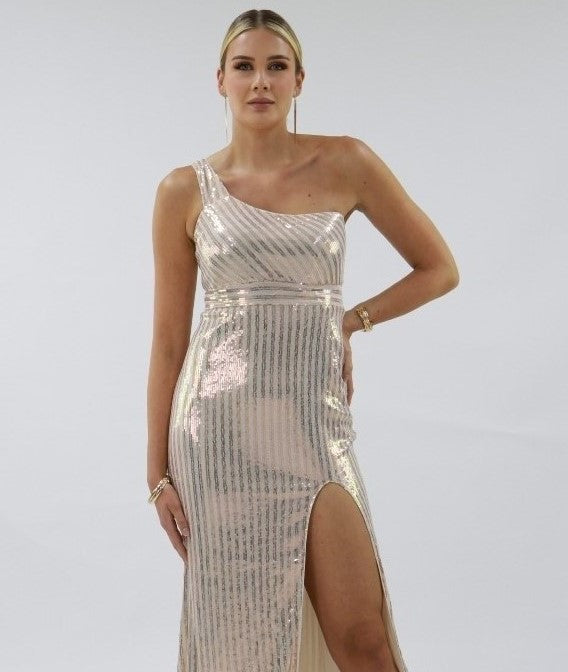 Shimmering Long Dress